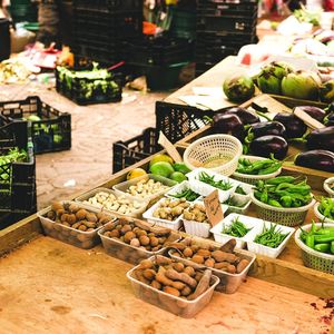 Les fruits et légumes font partie de la liste des « produits emblématiques » dont l'évolution des prix sera surveillée par un baromètre.