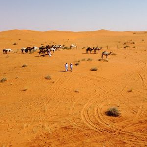 Des Bédouins dans le désert d'Al Nufud Al Kabir, dans le nord de l'Arabie saoudite, juillet 2021.