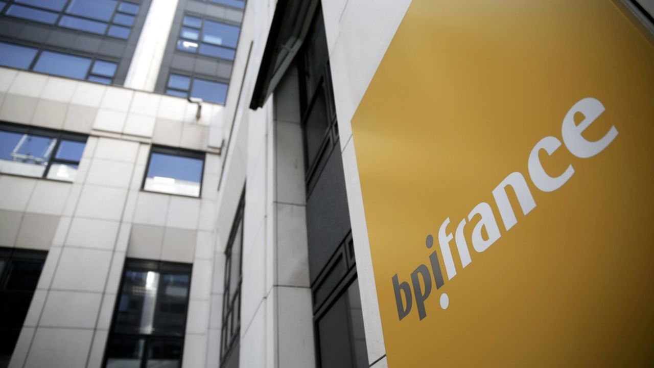 En Dix Ans, Bpifrance A Mobilisé Plus De 1 Milliard D'euros Pour ...