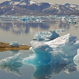 Iceberg Data Lab fournit des données ESG agrégées aux gestionnaires d'actifs et autres institutions financières.