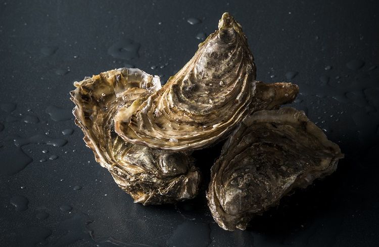 Huîtres, coquillages et bien d'autres produits des pays de la Loire sont à découvrir aux Nefs de l'île de Nantes. 