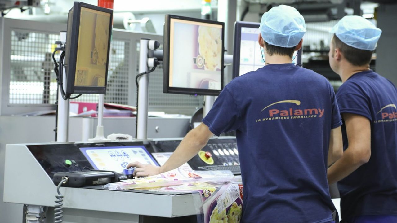 Palamy fabrique des films plastiques (simples ou complexés, neutres ou imprimés), du produit nu en bobine jusqu'au sachet transformé pour l'emballage automatisé.
