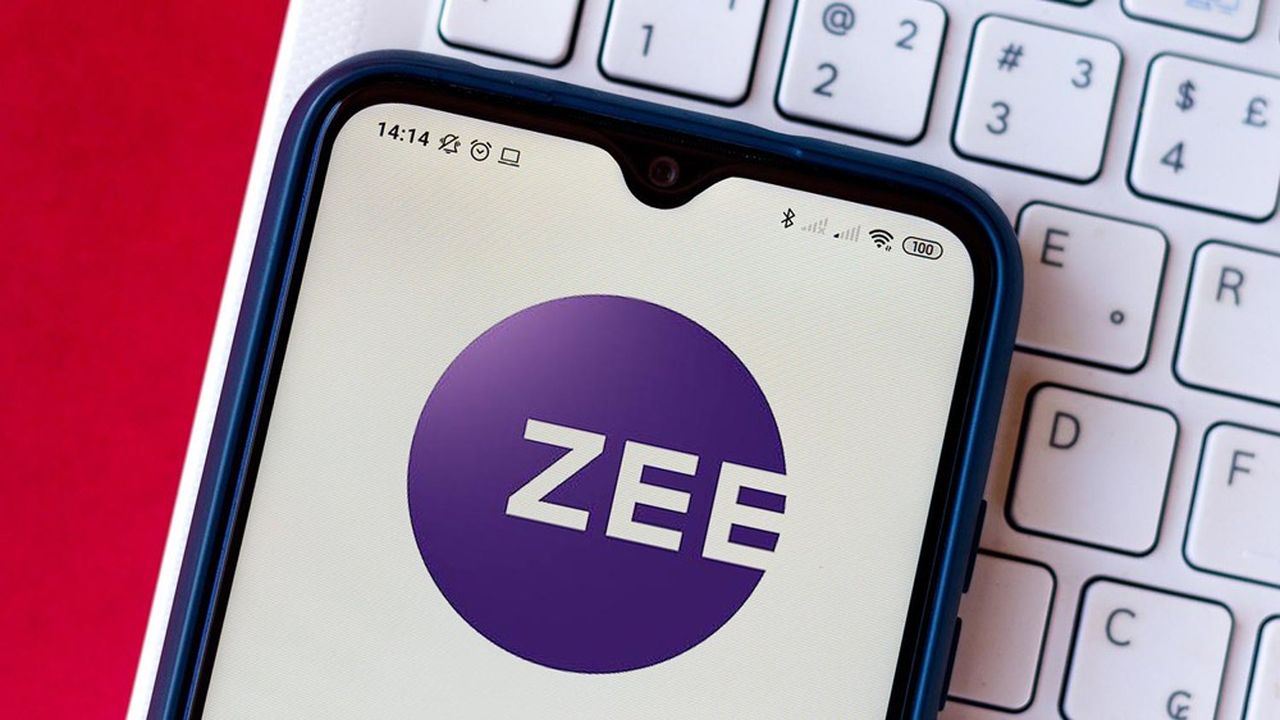 ZEE est présent dans quelque 173 pays dans le monde, touchant une audience de 1,3 milliards de personnes. Il est présent dans la musique, le cinéma, le digital, la télévision etc.