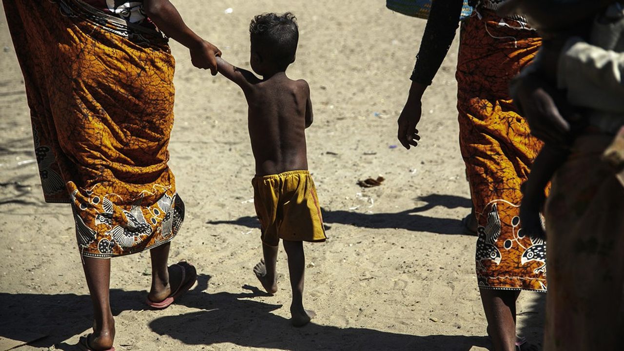 Dans le sud de Madagascar, une sécheresse exceptionnelle a transformé les champs en poussière et condamné plus d'un million de personnes à la faim.