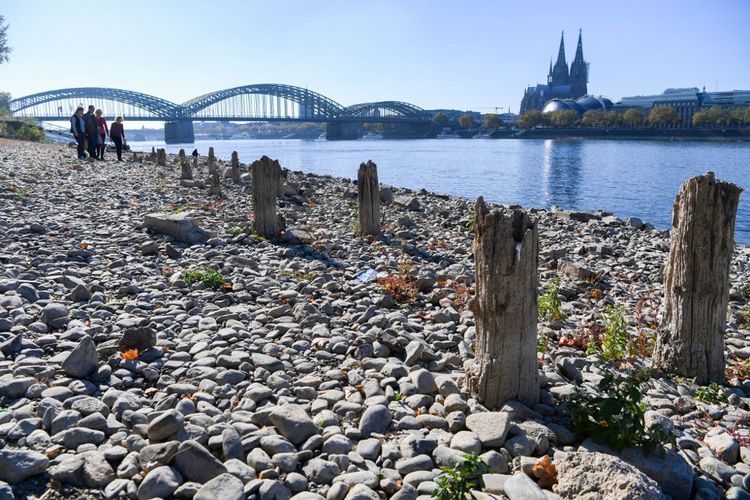 Les rives du Rhin au niveau de Cologne en octobre 2018