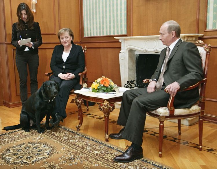 Angela Merkel et Vladimir Poutine à Sotchi.