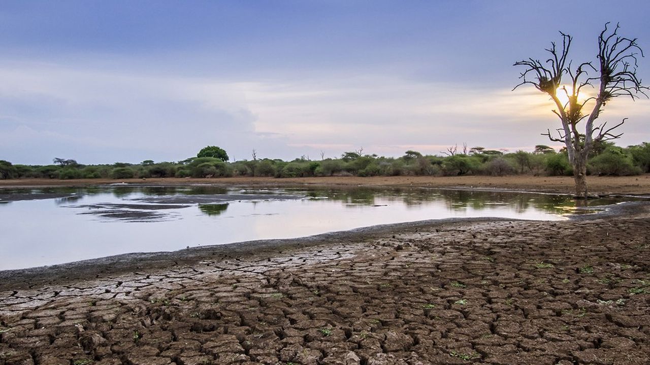 L'Afrique reste particulièrement exposée aux sécheresses, déplore l'Organisation météorologique mondiale.
