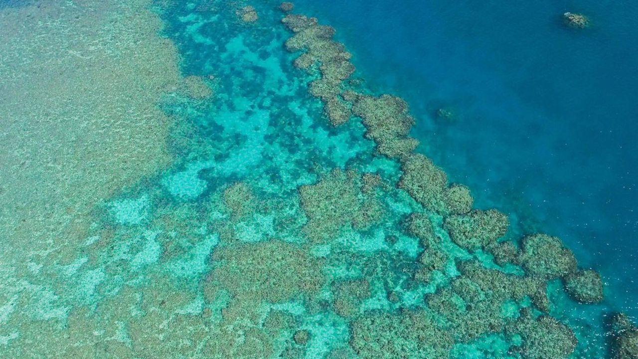 Vue aérienne de la Grande Barrière de corail, en Australie.
