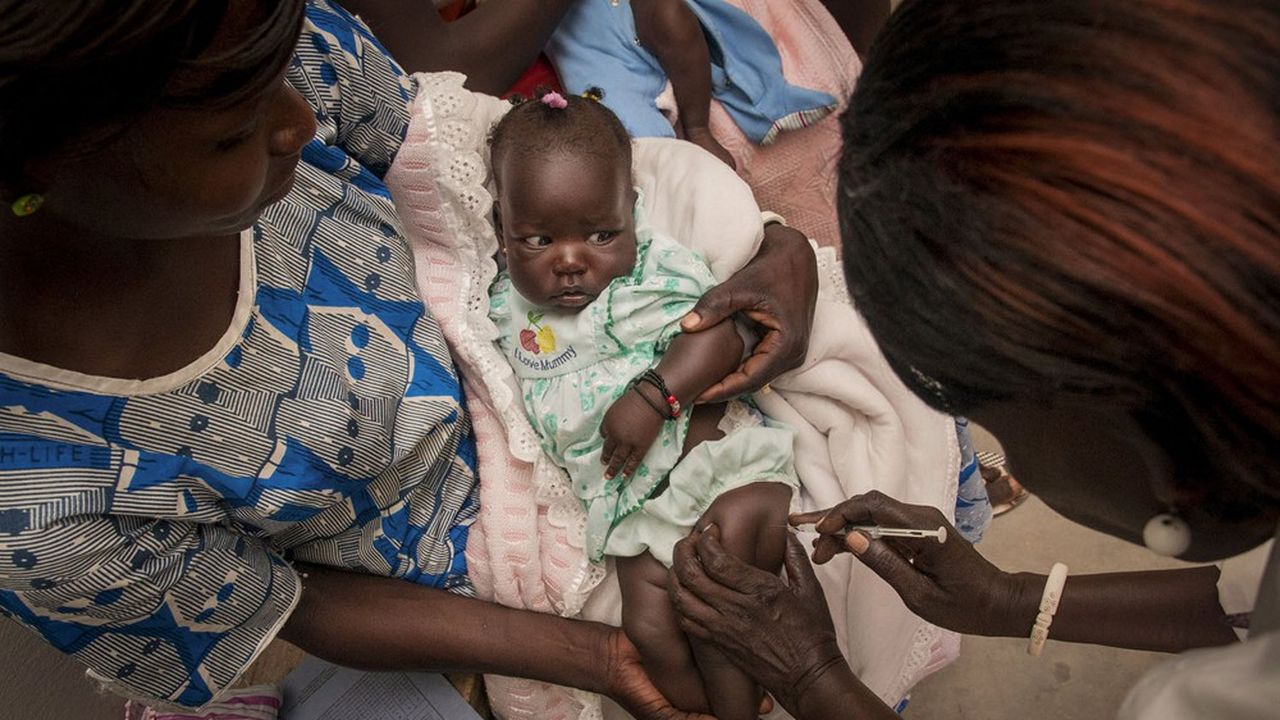 Le premier vaccin antipaludique permet une « réduction significative » des cas mortels de paludisme, selon l'OMS.