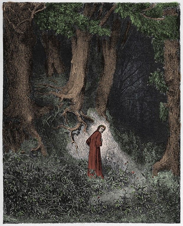 L'Enfer, chant I : le poète s'égare dans une forêt profonde. Illustration de Gustave Doré.