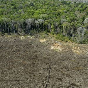La dégradation des terres et la déforestation représentent 10 % à 12 % des émissions mondiales de gaz à effet de serre.