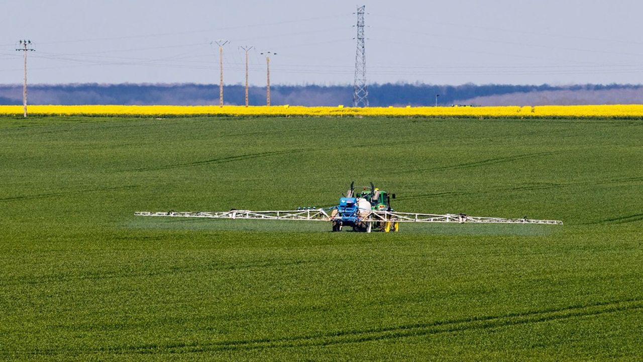 Le tribunal a rejeté les arrêtés anti-pesticides pris par les maires des communes de Malakoff, Sceaux, Gennevilliers, Nanterre et Bagneux