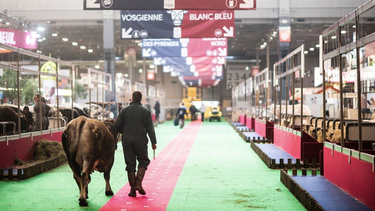 Le Val-d'Oise sera présent au Salon international de l'agriculture, du 26 février au 6 mars 2022, à Paris.