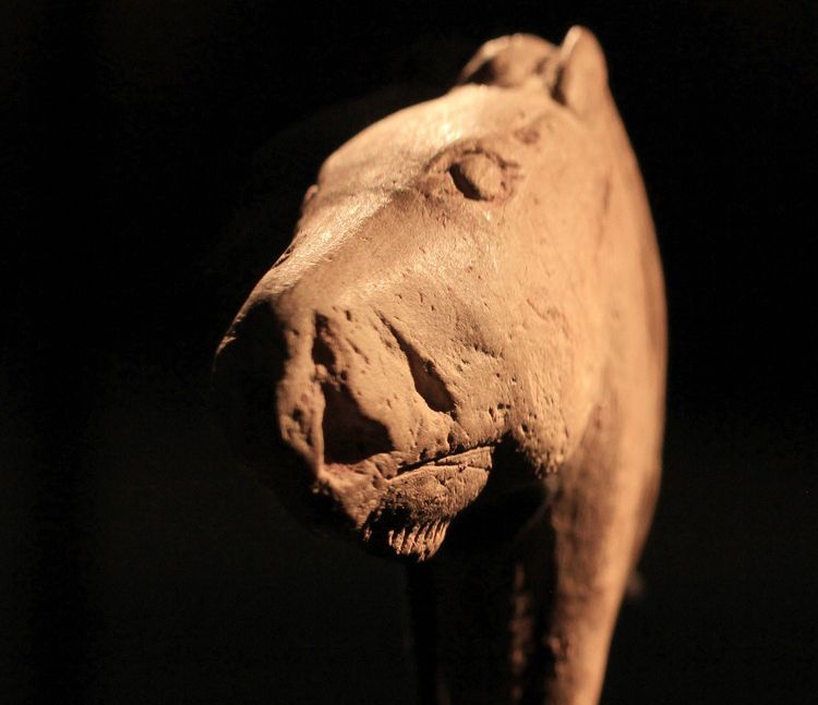 Figurine de cheval magdalénienne provenant de Duruthy, France. Abbaye d'Arthous. Collections du département des Landes. Mai 2021.