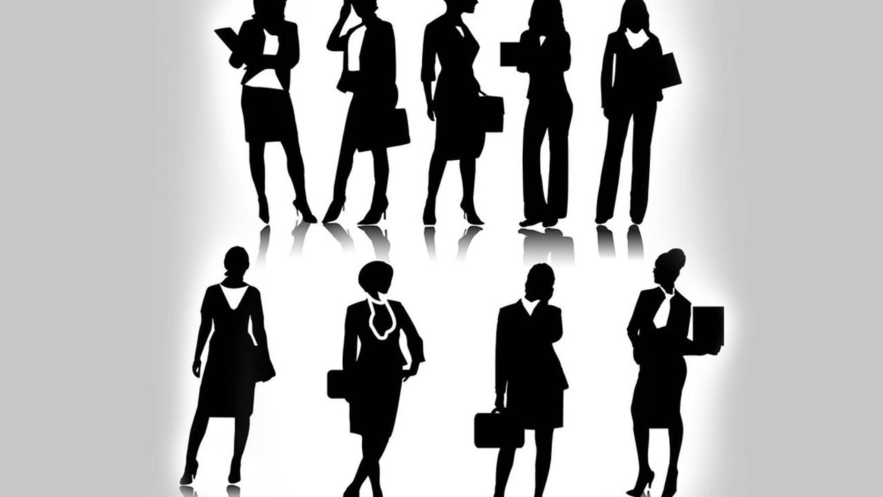 Les organes composant les conseils d'administration que sont les comités des nominations et des rémunérations représentent les instances les plus féminisées.