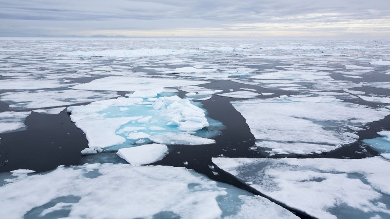 Le réchauffement climatique change profondément la physionomie de l'Arctique.