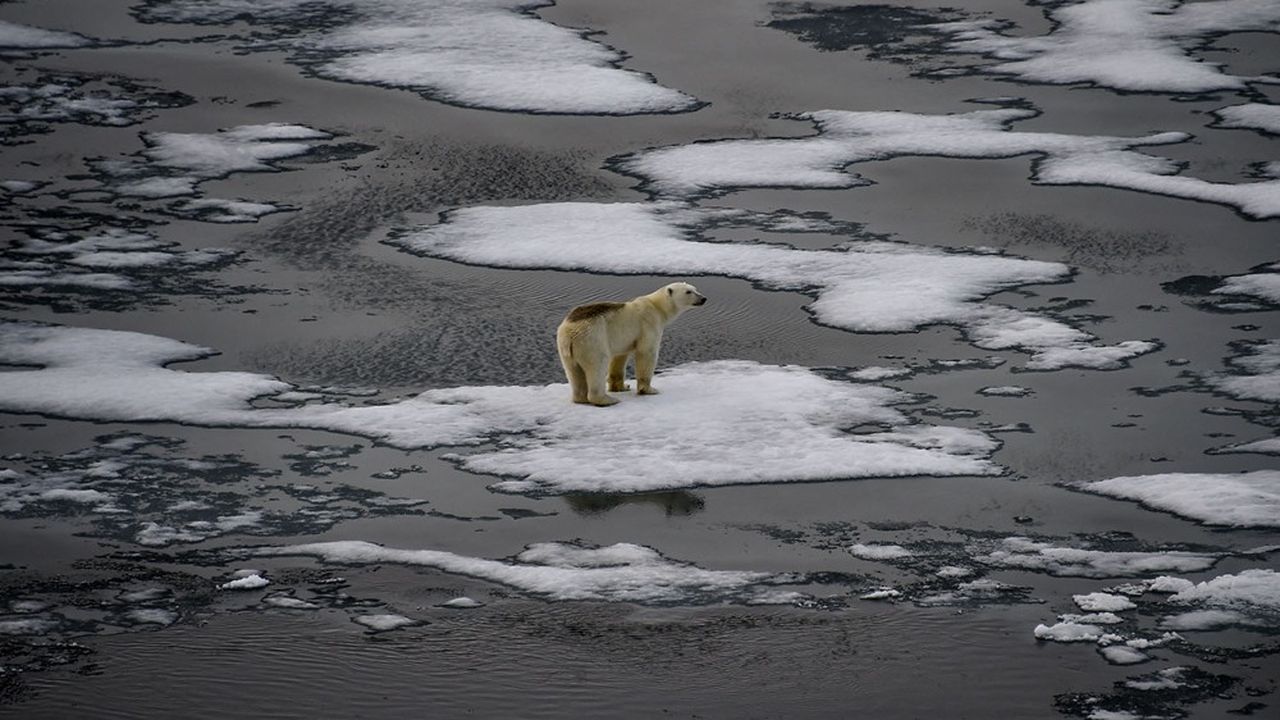 La fonte des glaces arctiques fait partie des conséquences du réchauffement climatique.