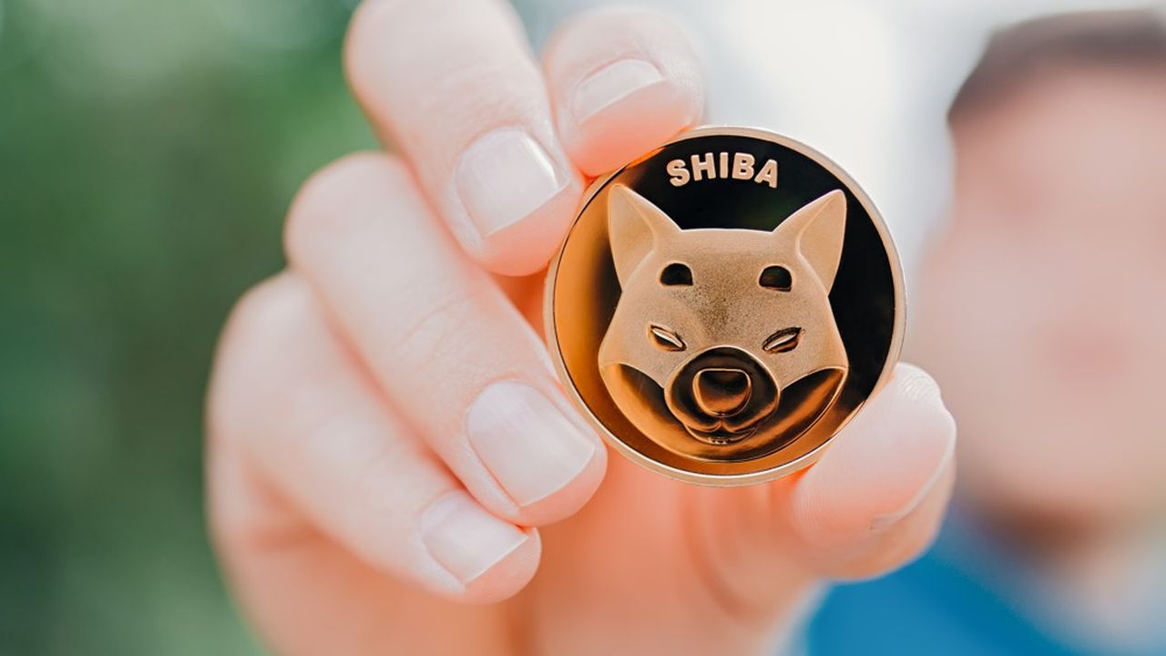 Le shiba inu est devenu la dixième plus grosse cryptomonnaie avec environ 37 milliards de dollars de capitalisation.