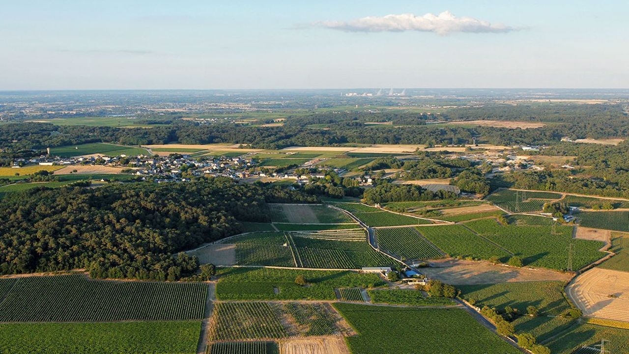 Les Pays de la Loire, ici la commune de Souzay-Champigny (Maine-et-Loire), anticipent les bouleversements du changement climatique sur son agriculture et son cadre de vie.