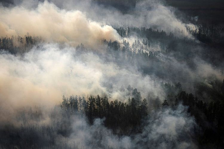 Les feux de forêt se multiplient en Sibérie durant l'été, comme ici à Berdigestyakh, dans la république de Sakha, le 27 juillet 2021.