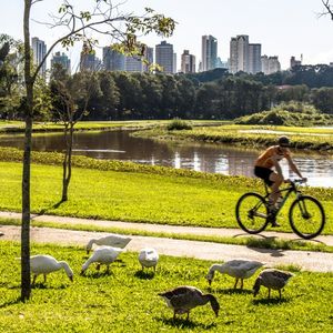 La ville brésilienne de Curitiba a créé de nombreux parcs pour réduire les risques liés au changement climatique.