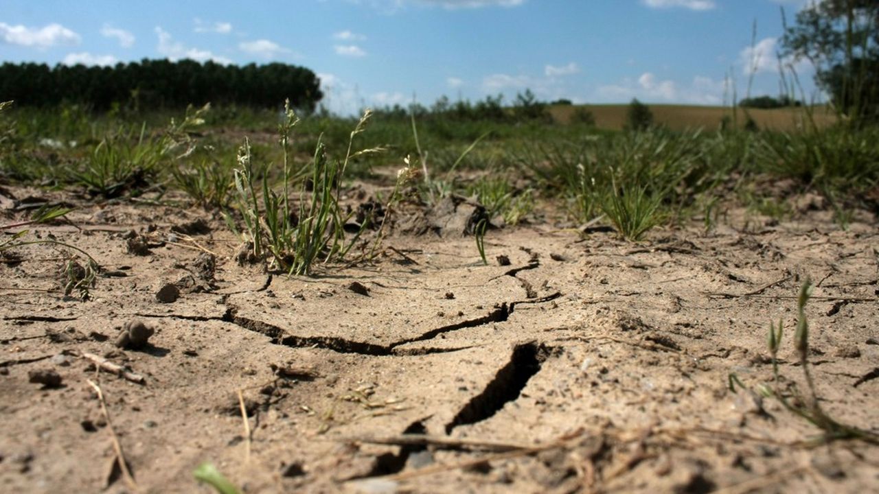 Dans le sud de la France, les épisodes de sécheresse intense vont se multiplier.