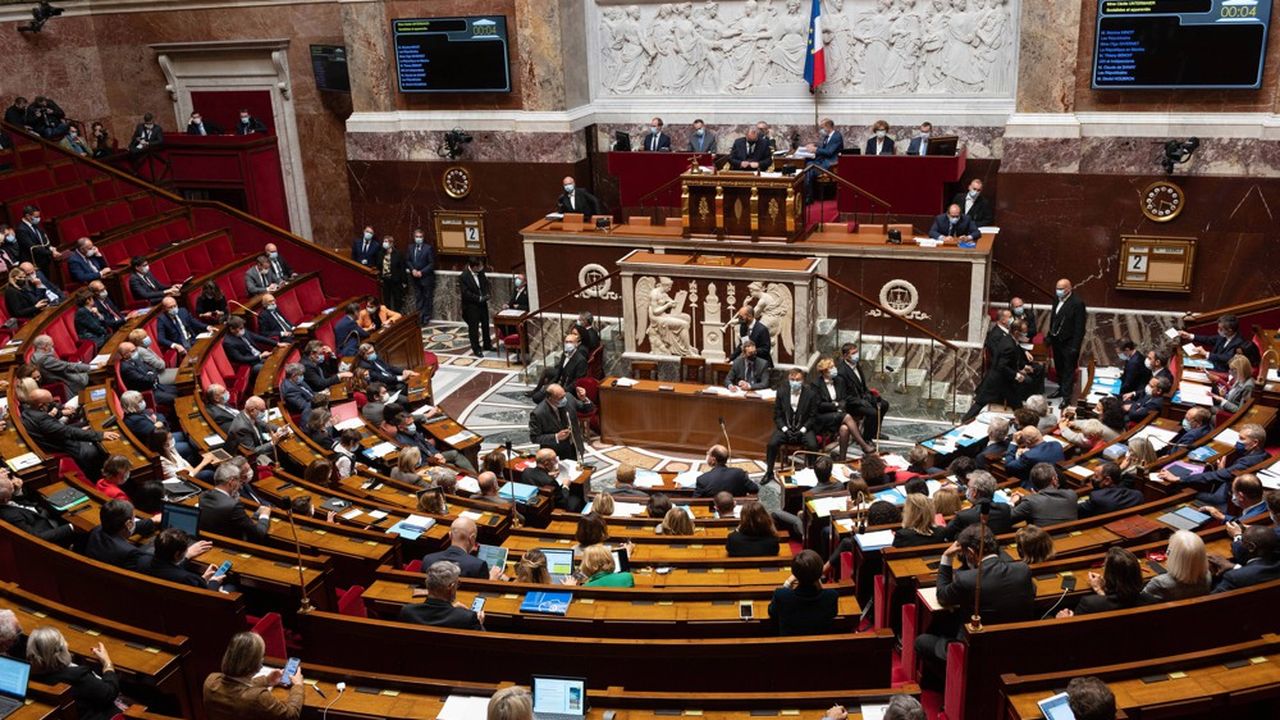 Le vote de l'Assemblée nationale, qui valide le texte au nom des deux chambres après l'opposition du Sénat, a été acquis par 118 voix pour, 89 contre et une abstention.