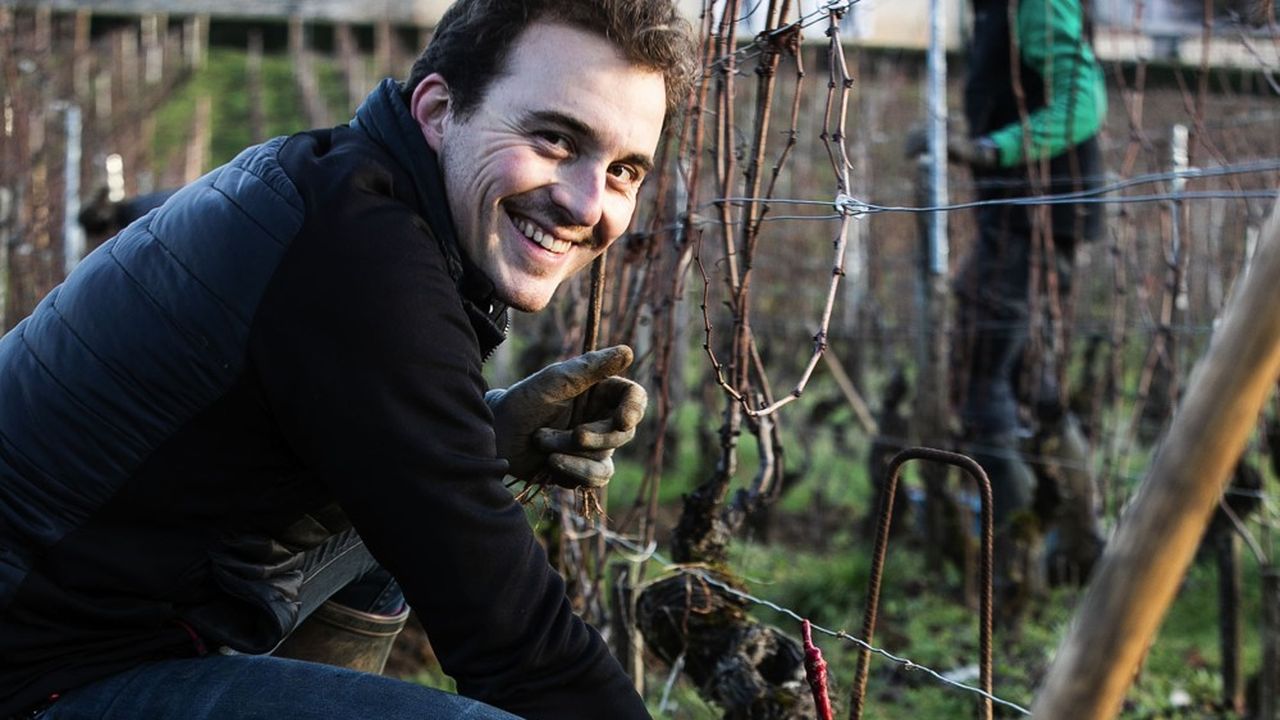 Charles Lachaux a été élu meilleur jeune vigneron du monde.