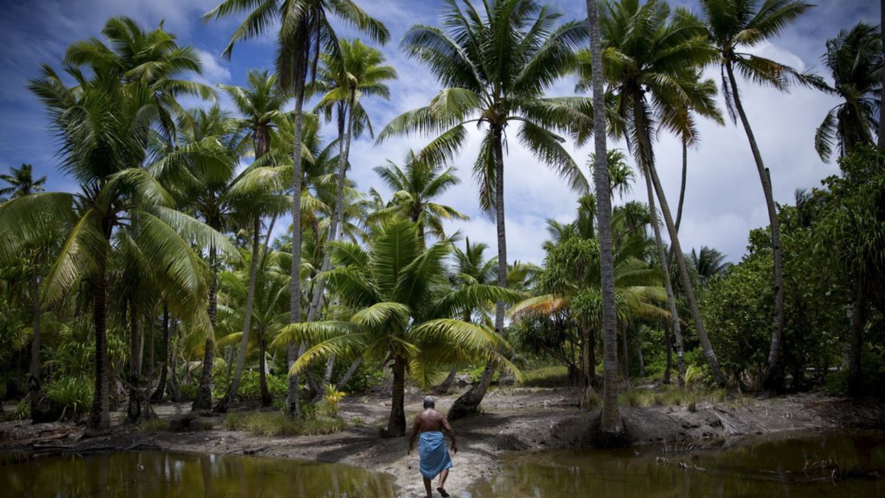 Sur Abaiang, un atoll de Kiribati fréquemment soumis à des ouragans et menacé d'être englouti, les ruptures de digue sont de plus en plus fréquentes et découragent la mise en culture des terres.