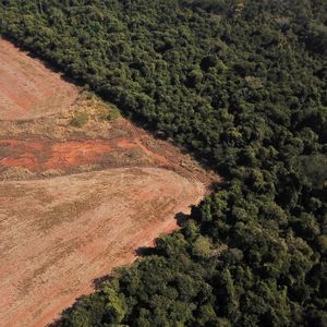Vue aérienne de la forêt amazonienne dans le Mato Grosso, Brésil, juillet 2021.
