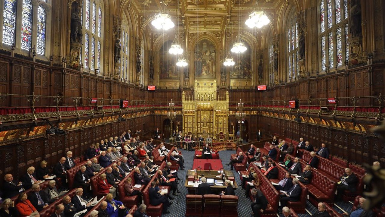 A la chambre des Lords, des députés ont demandé des commissions d'enquête sur le rachat de l'assureur-vie LV et sur les pratiques jugées « destructrices » des fonds d'investissement.