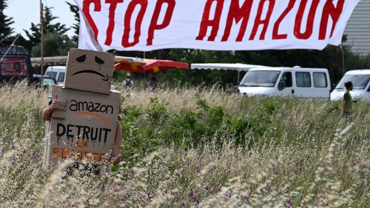 Le 29 mai dernier, lors d'une manifestation contre le projet d'implantation d'une plateforme logistique d'Amazon à Fournès.