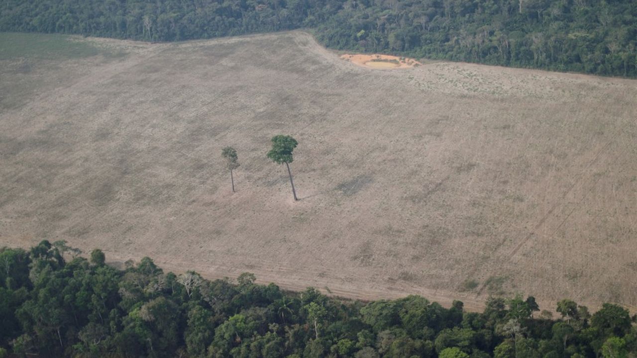 A la COP26 de Glasgow, le Brésil s'est engagé à avancer de deux ans, de 2030 à 2028, la date limite pour éliminer la déforestation illégale sur son territoire.