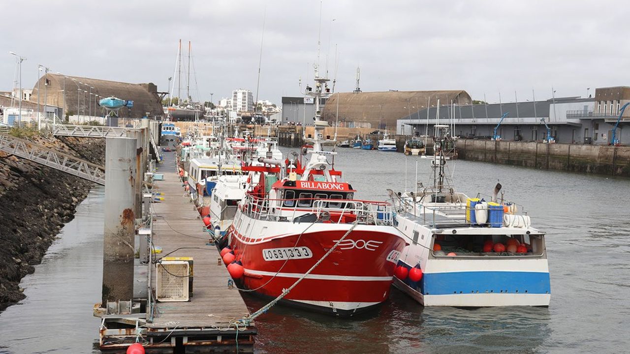 Le port de Lorient, second en France, cherche à développer son activité d'importation de poissons pour parer à la baisse de la pêche dans le Nord.