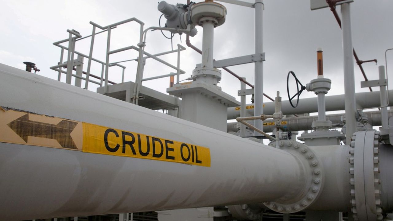 Réserve stratégique de pétrole à Freeport, au Texas. Le président américain a annoncé mardi la mise sur le marché de 50 millions de barils de brut issus des réserves stratégiques des Etats-Unis.