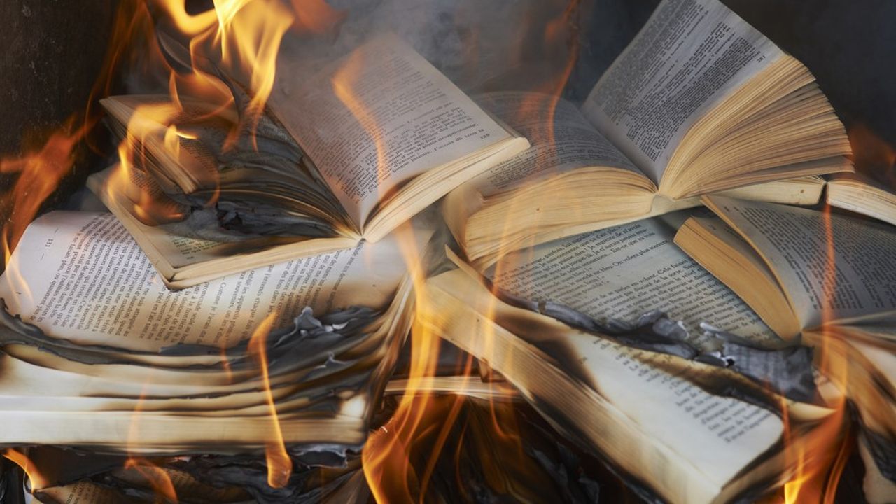 « Un vieillard qui meurt, c'est une bibliothèque qui brûle. » (Amadou Hampâté Bâ)