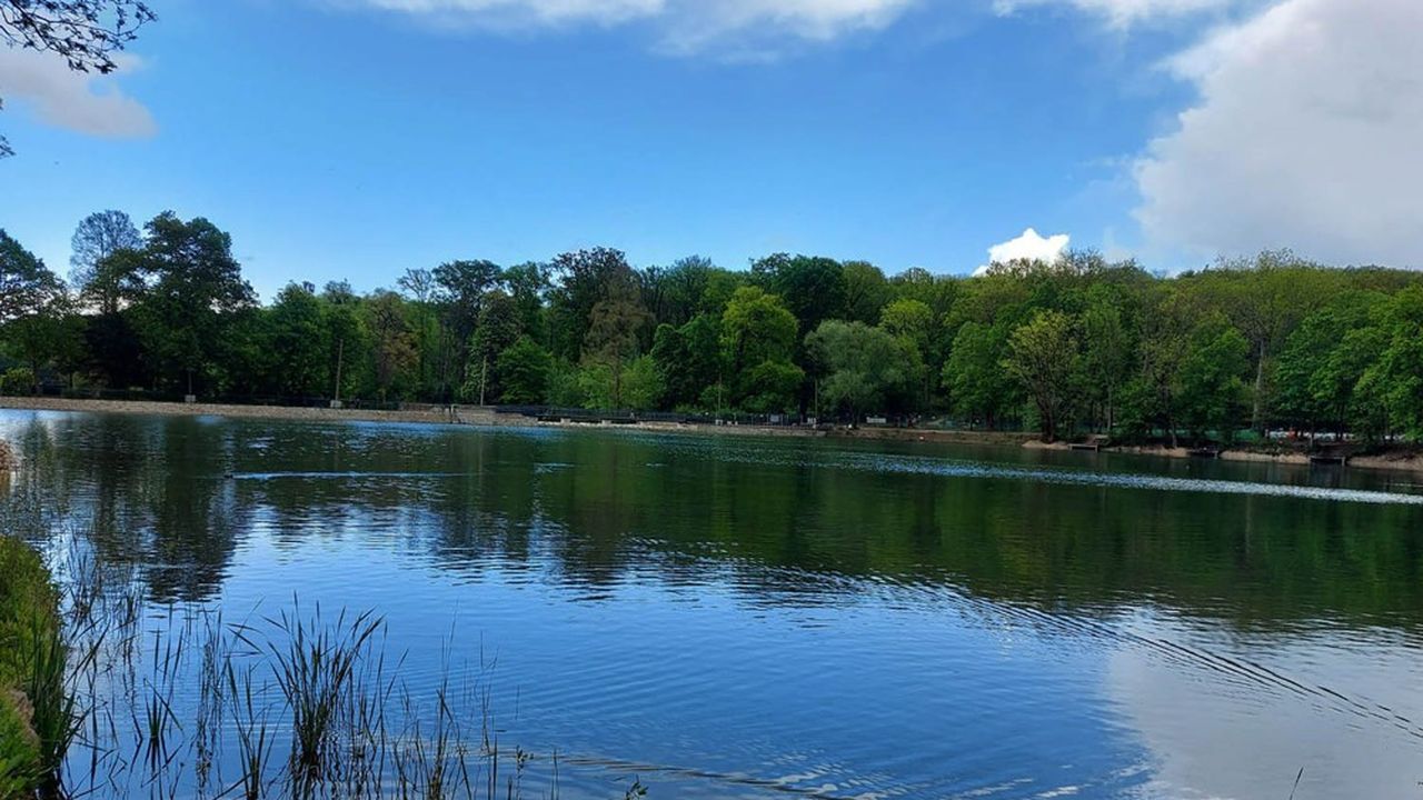 A Ville d'Avray, les travaux des étangs de Corot sont à l'arrêt depuis juin 2021