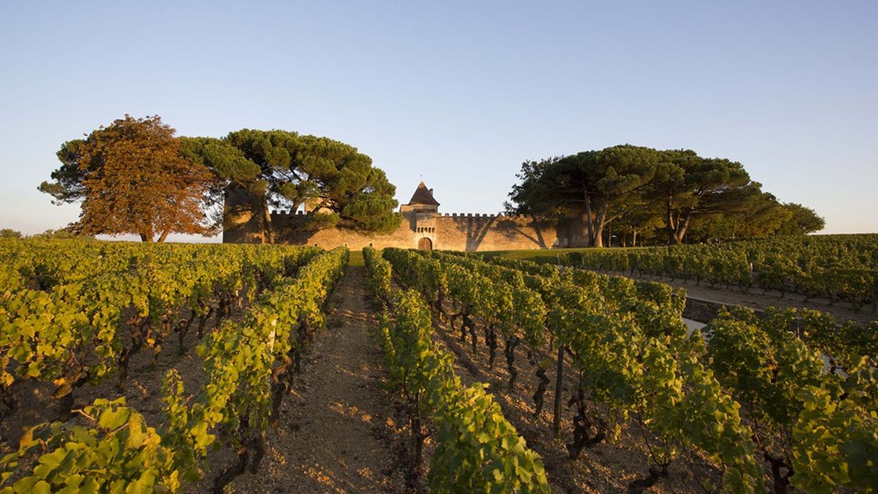 Le vignoble de Château d'Yquem, sur la commune de Sauternes, produit un des vins liquoreux les plus réputés.