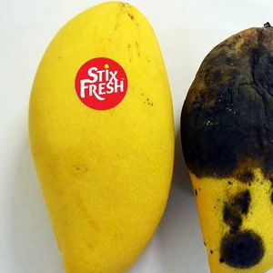 Les stickers de Ryp Labs fonctionneraient sur les mangues, mais également les fraises ou les pêches.