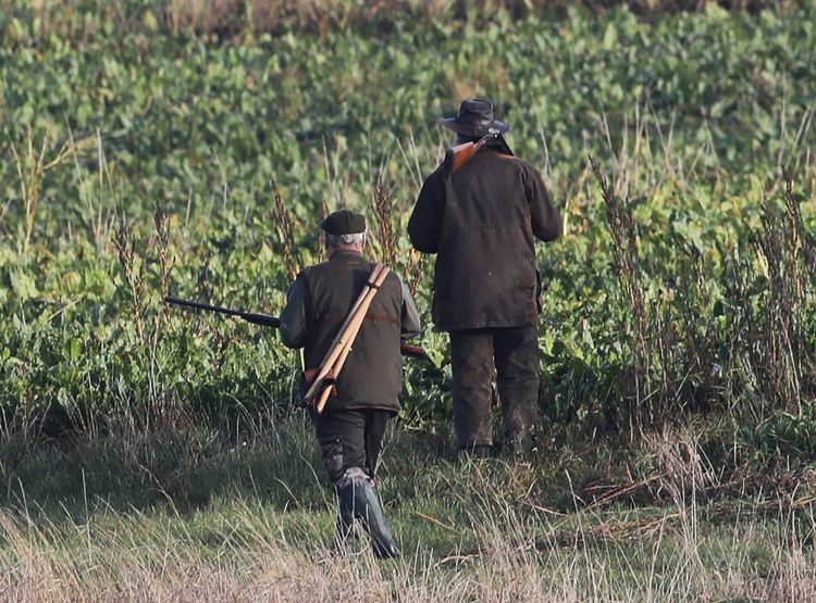 Yannick Jadot veut interdire la chasse le week-end et pendant les vacances scolaires pour protéger les promeneurs dans les forêts.