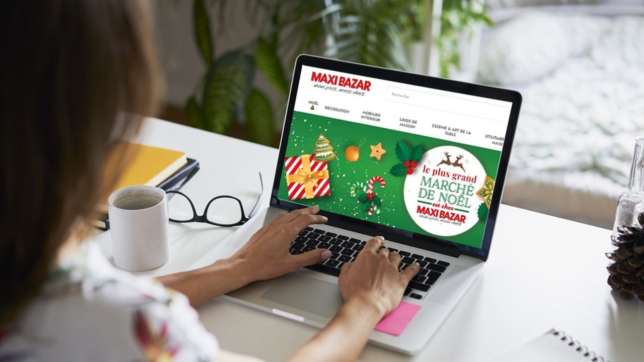 Maxi Bazar exploite 90 magasins, dont 56 en France et 34 en Suisse, et un site marchand pour un chiffre d'affaires d'environ 200 millions d'euros.