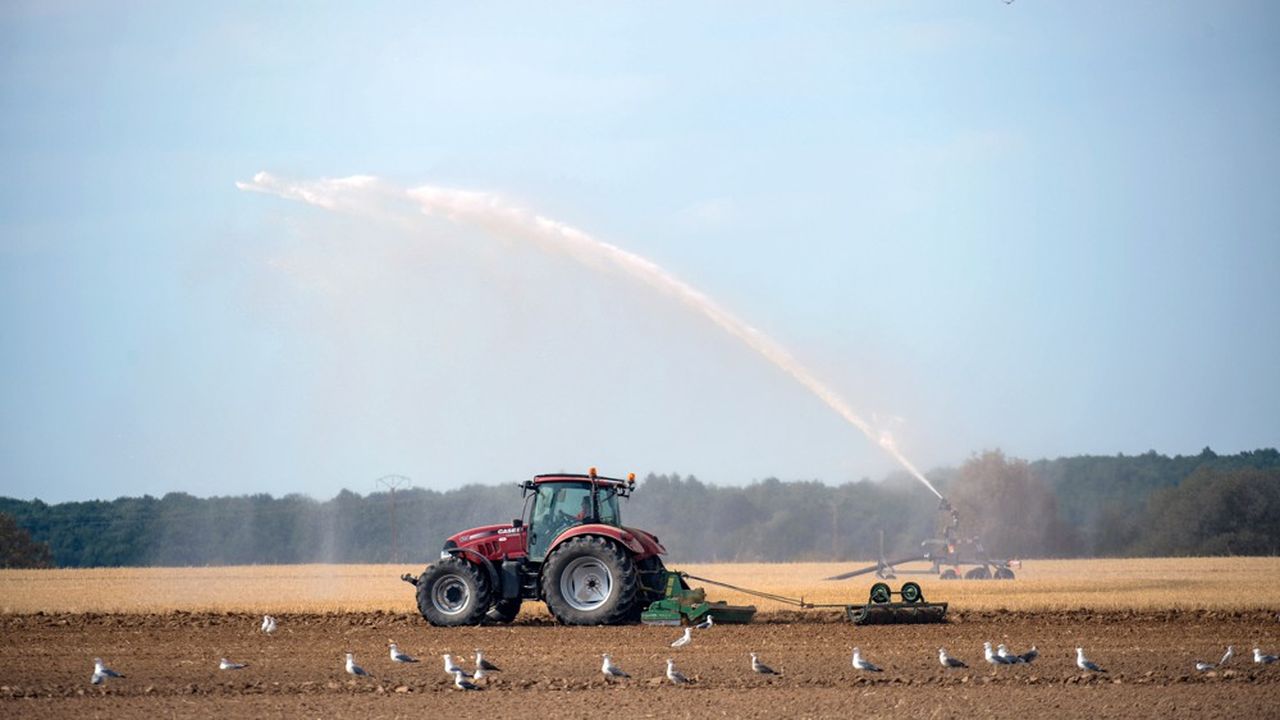 Aujourd'hui, la France compte environ 400.000 agriculteurs-exploitants, soit quatre fois moins qu'il y a quarante ans.