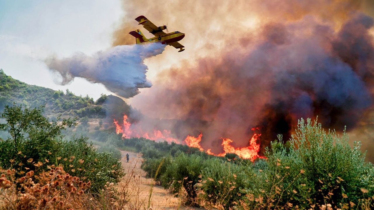 Les flammes ravagent une forêt près de l'ancienne Olympie, Péloponnèse, Grèce , le 5 août 2021.