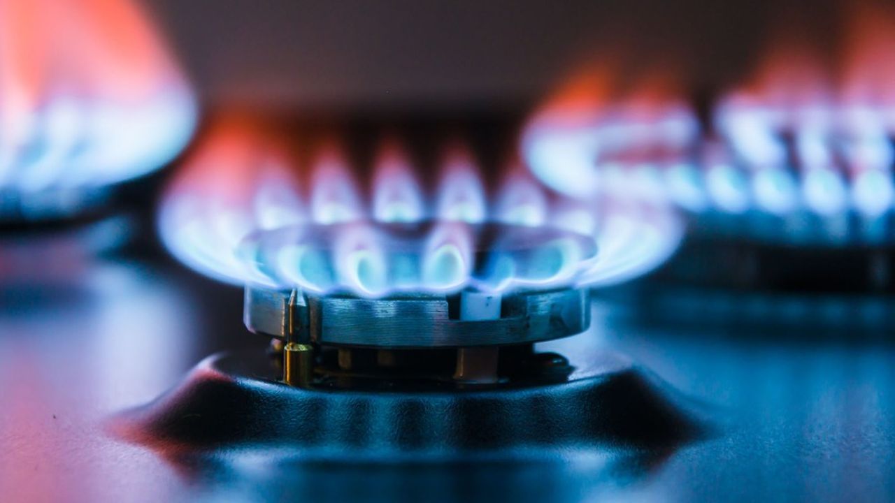 « Pour le gaz, nous sommes à la merci des producteurs, en particulier de la Russie », constate le président de la CRE, Jean-François Carenco.