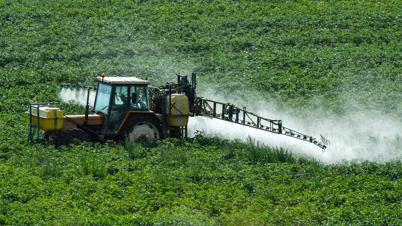 La lutte contre les pesticides est un sujet très polémique pour la France qui dispose de la première surface agricole de l'UE.