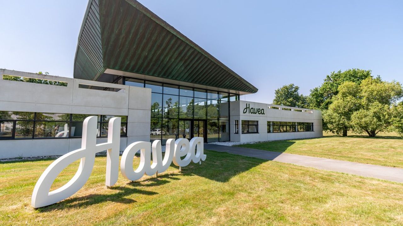 Siège et usine de production, le site de Boufféré en Vendée emploie 400 des 850 salariés du groupe Havea.