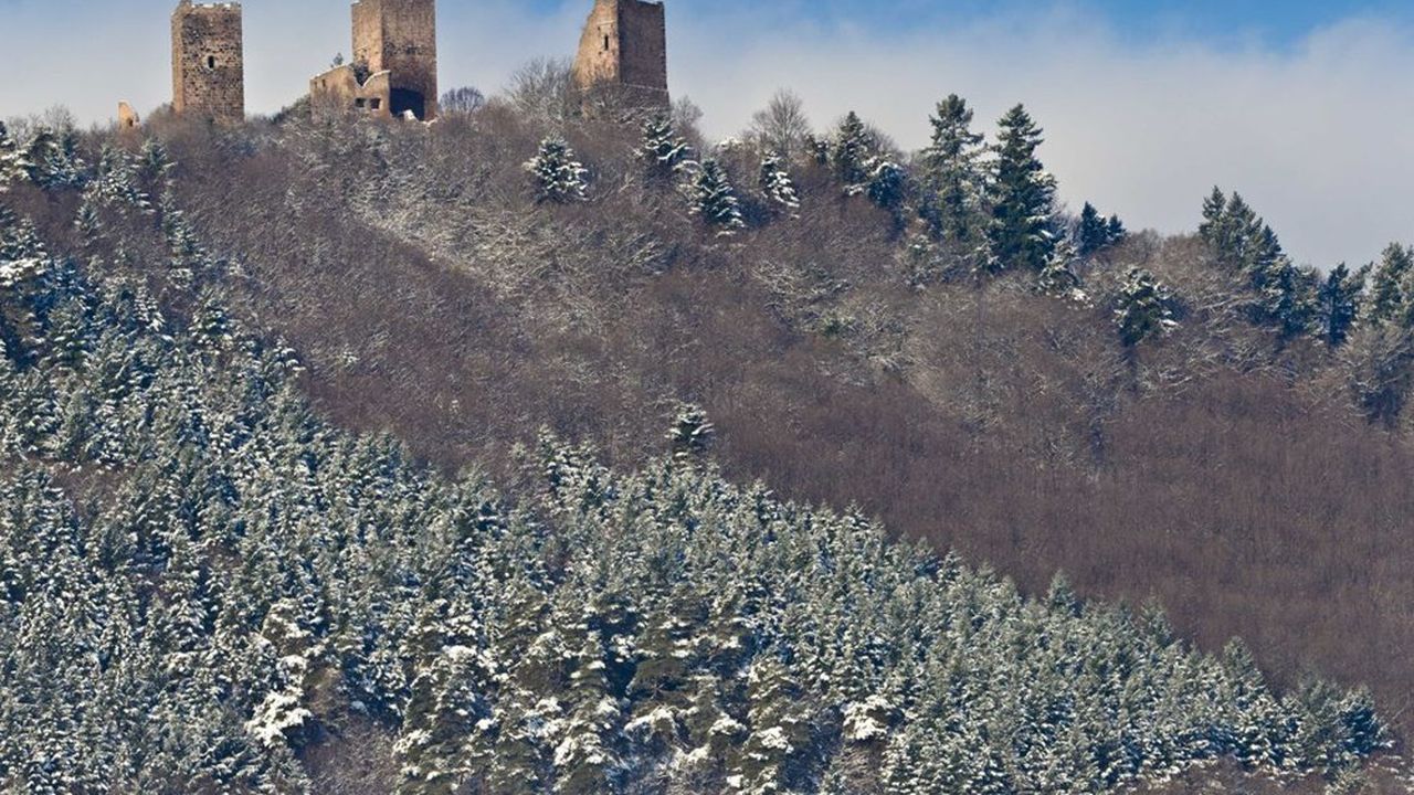 Situées sur une colline dominant la région de Colmar, les ruines des Trois Châteaux du Haut-Eguisheim font partie des symboles de l'Alsace.