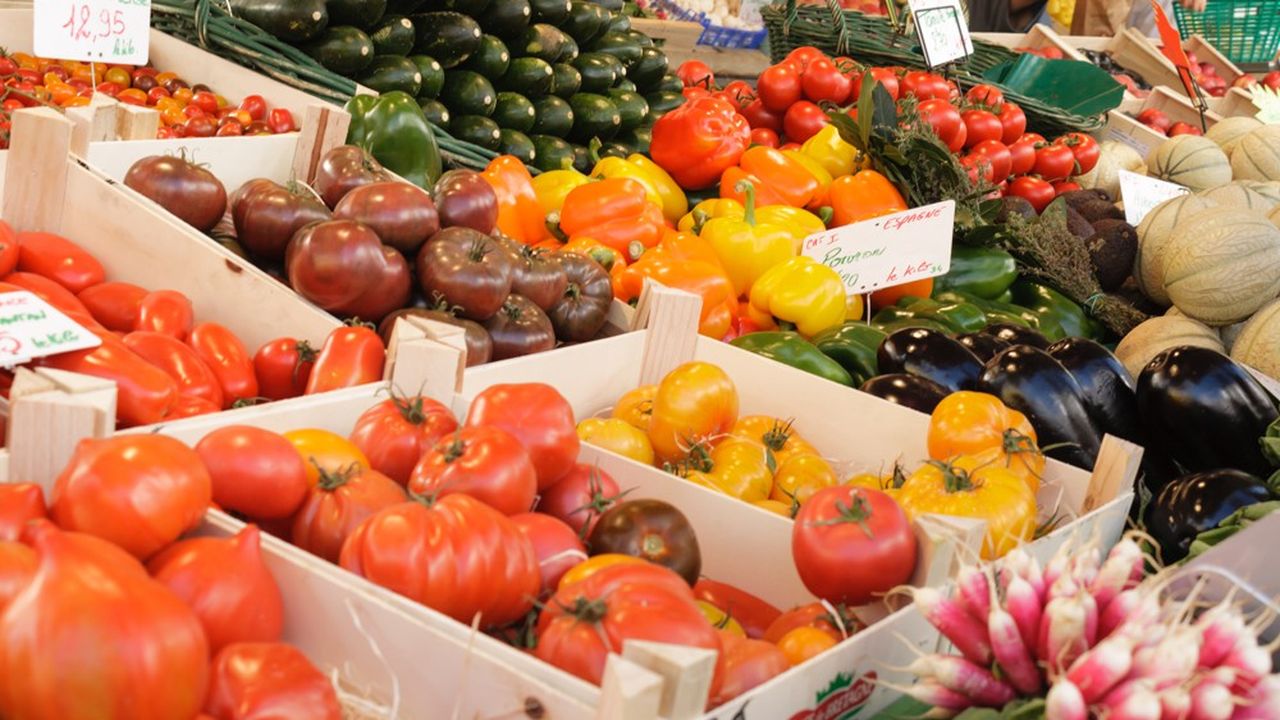 En rayon, ces fruits et légumes frais devront être vendus en vrac ou dans des contenants alternatifs (en carton ou en papier).