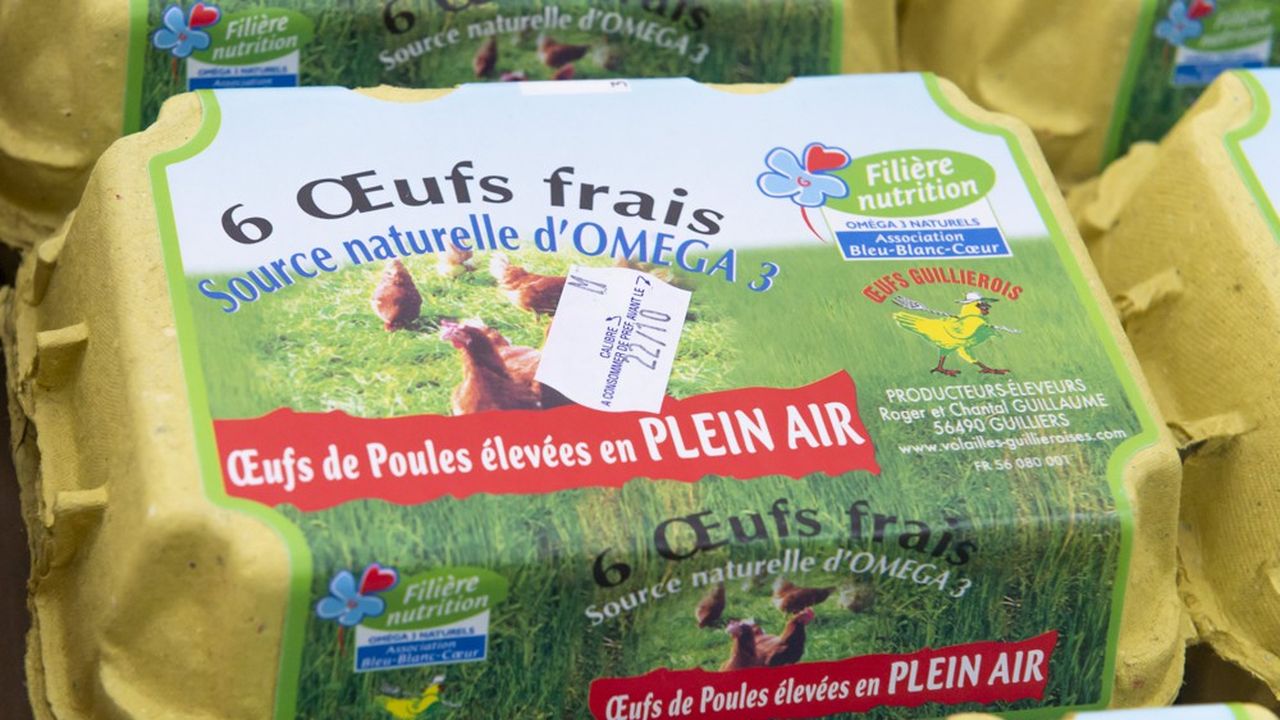 L'élevage de volailles en plein air est interdit partout en France depuis le 5 novembre. La mention « plein air » reste légale pour 16 semaines aux termes de la réglementation européenne.
