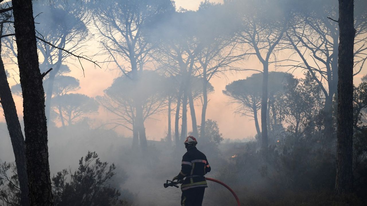 En août 2021, 1.200 pompiers ont lutté pendant plusieurs jours pour éteindre un des incendies les plus dévastateurs dans le Var depuis trente ans.